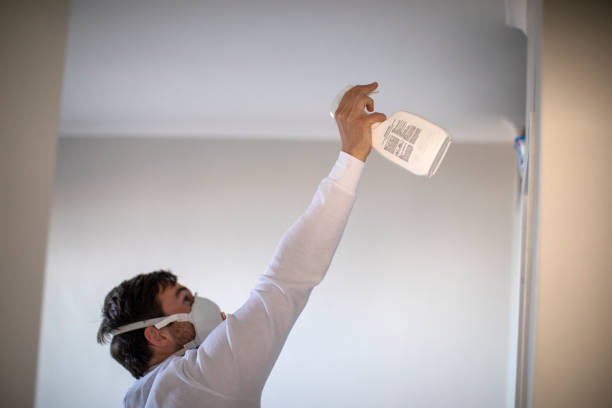 Best Emergency Mold Removal  in Lucas, TX