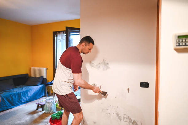 Mold Removal Process in Lucas, TX